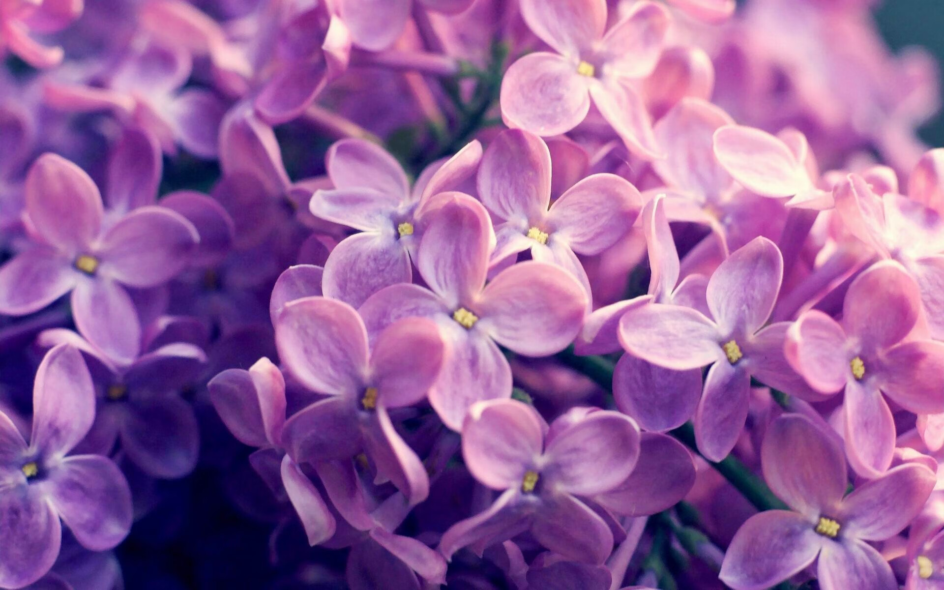 NBA球员赛季领导力培养计划，nba各队潜力重点培养