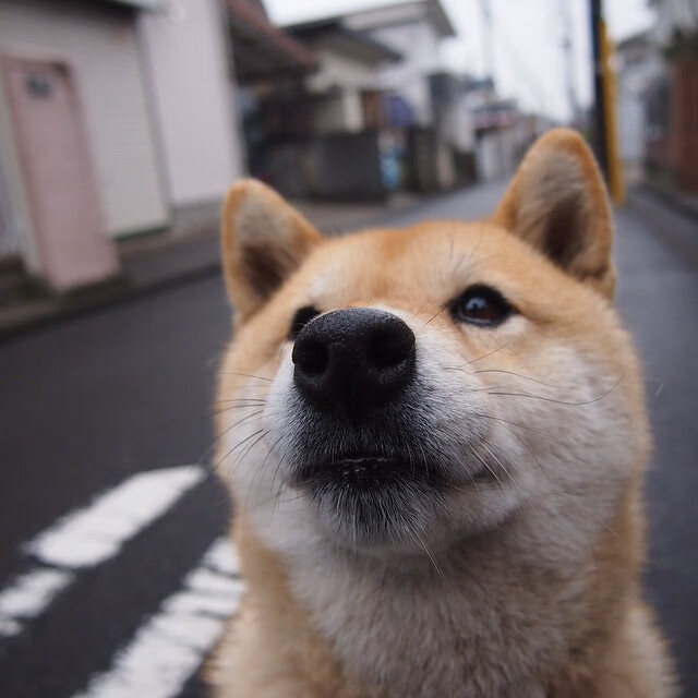 NBA球员转会市场动态及影响因素分析,nba球员转会时间