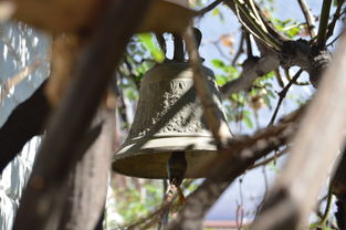 LEYU SPORTS中国官方网站-NBA球员转会市场动态，nba转会名单