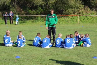 Leyu Sport登录入口-德甲球队构建战术模拟平台提升临场应变能力，德甲模式