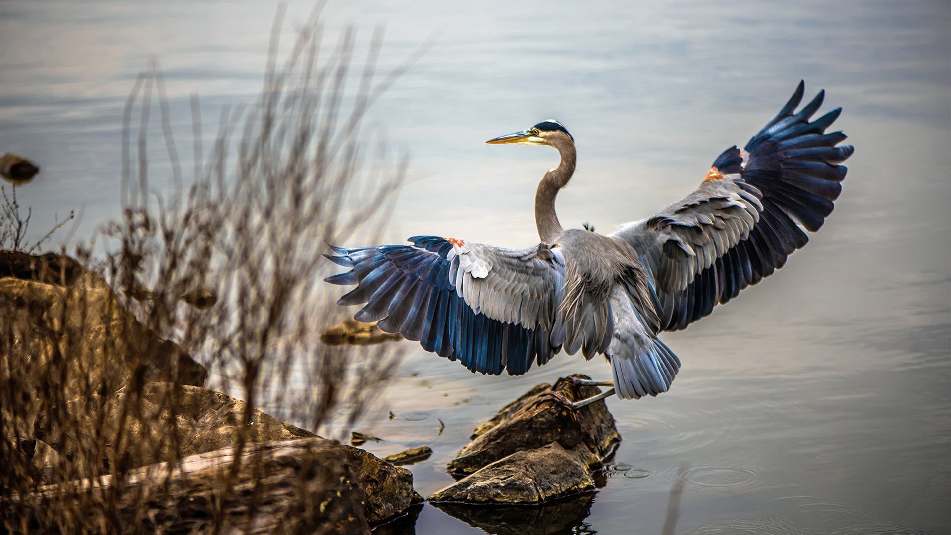 青少年社会环境影响，青少年成长环境中影响最大的是