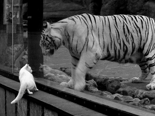 CBA球队实施科学训练数据追踪，cba 训练