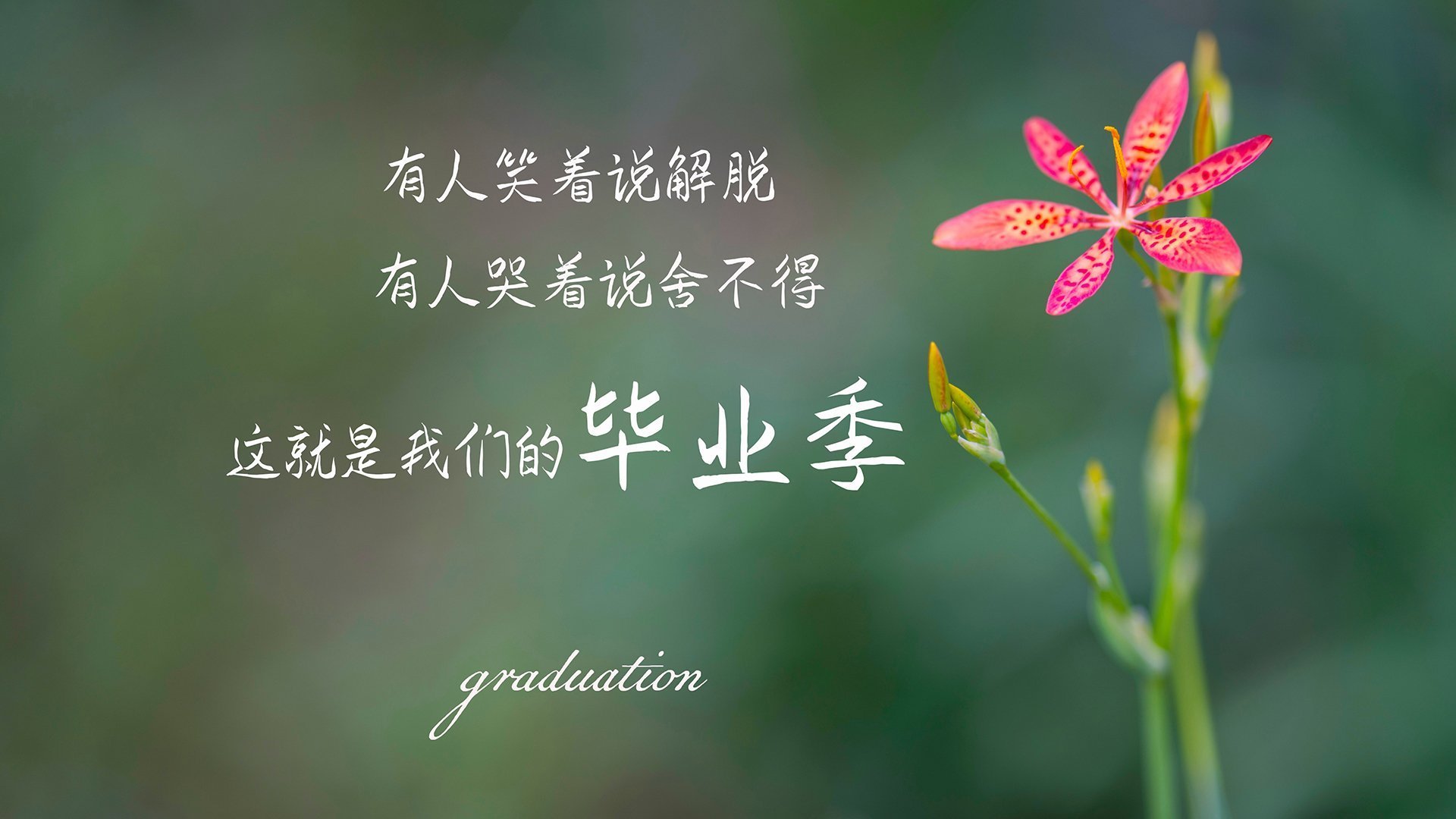 三人传控小组建立中路优势,“三人小组”模式