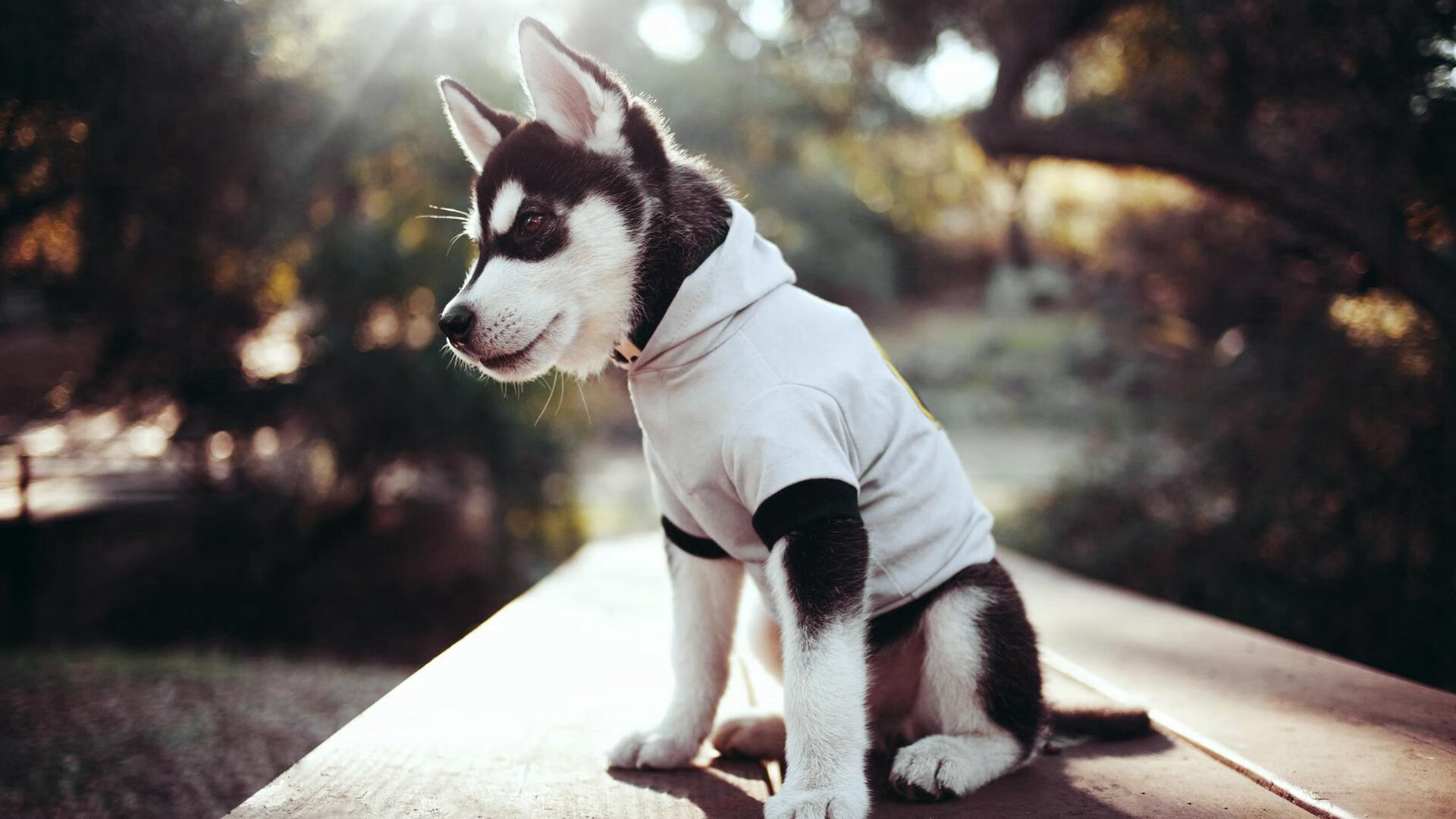 五大联赛经典逆转战术案例中教练决策评析，足坛逆转