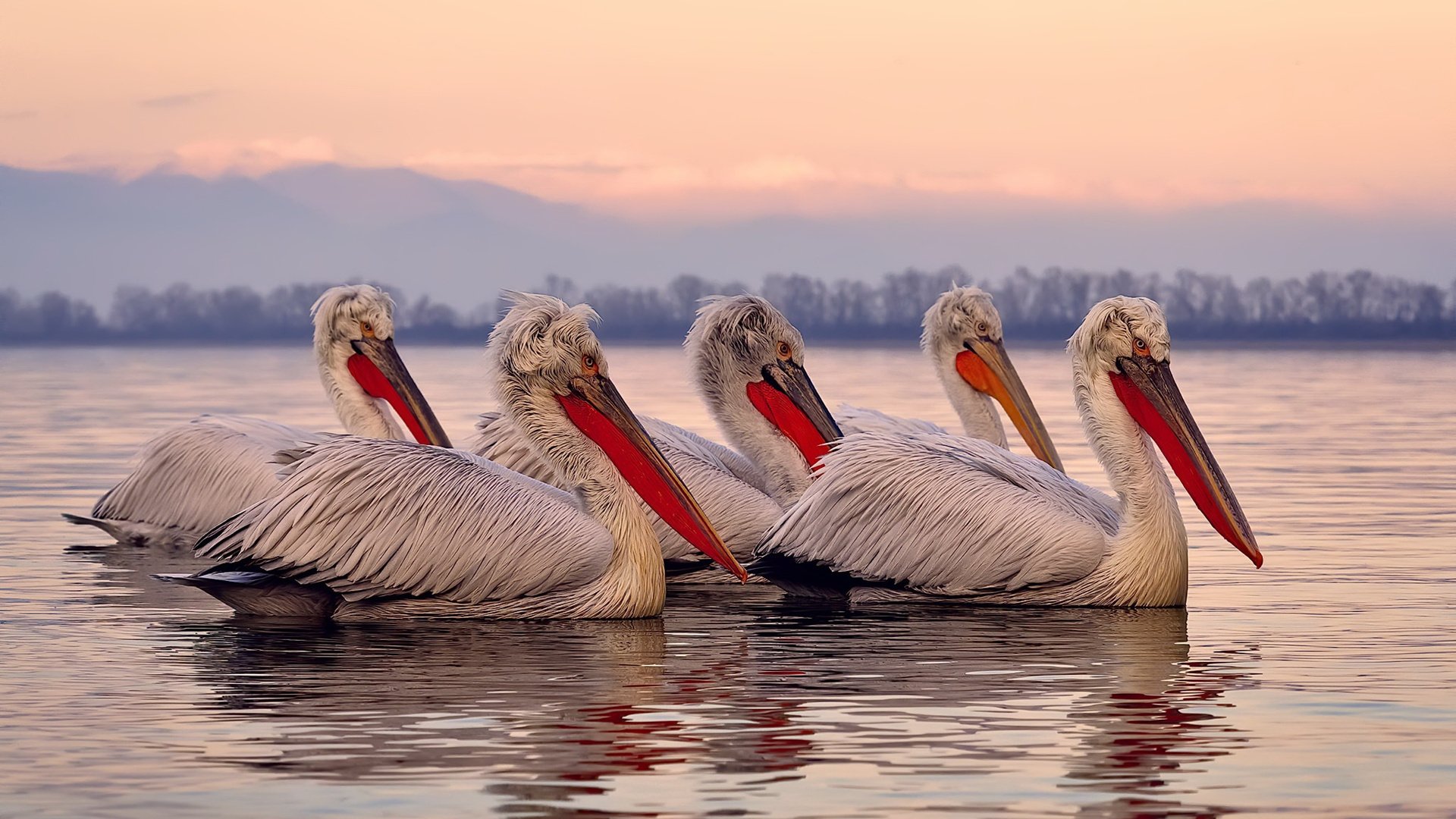 leyu乐鱼-体育新闻中心推动多场景AI体育应用落地，安装体育新闻