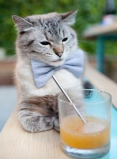 日本女乒实力提升，期待东京后新突破，日本 女乒选手