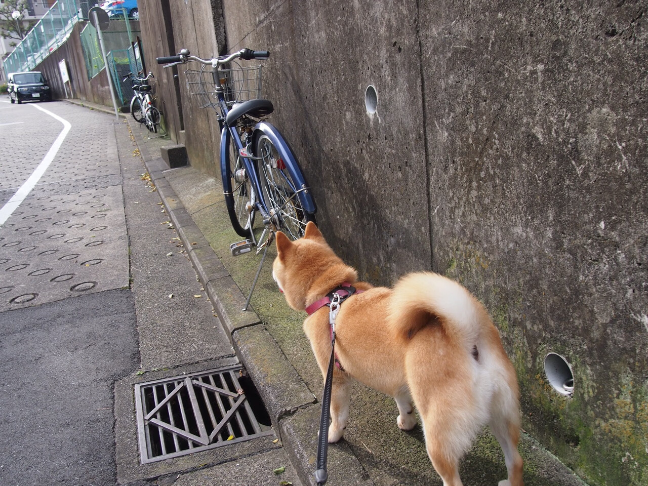 leyu乐鱼官网登录入口-节奏混乱下如何利用暂停重新整理思路，节奏停连