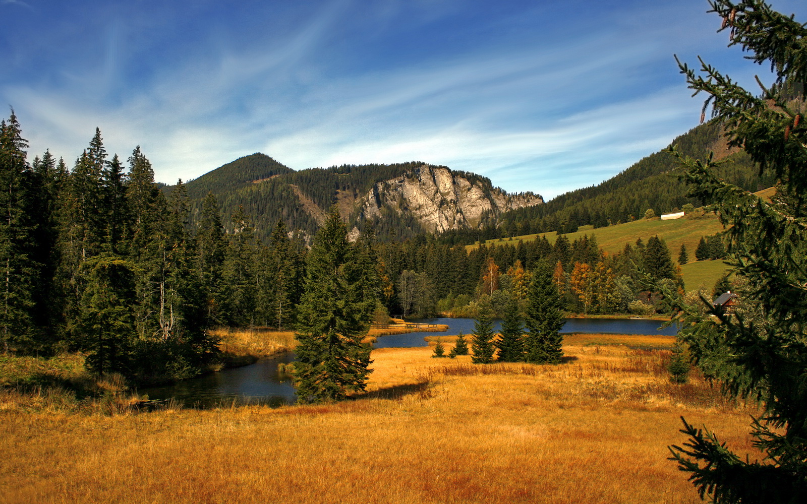 “阿根廷美洲狮队稳步前行,目标瞄准橄榄球未来”