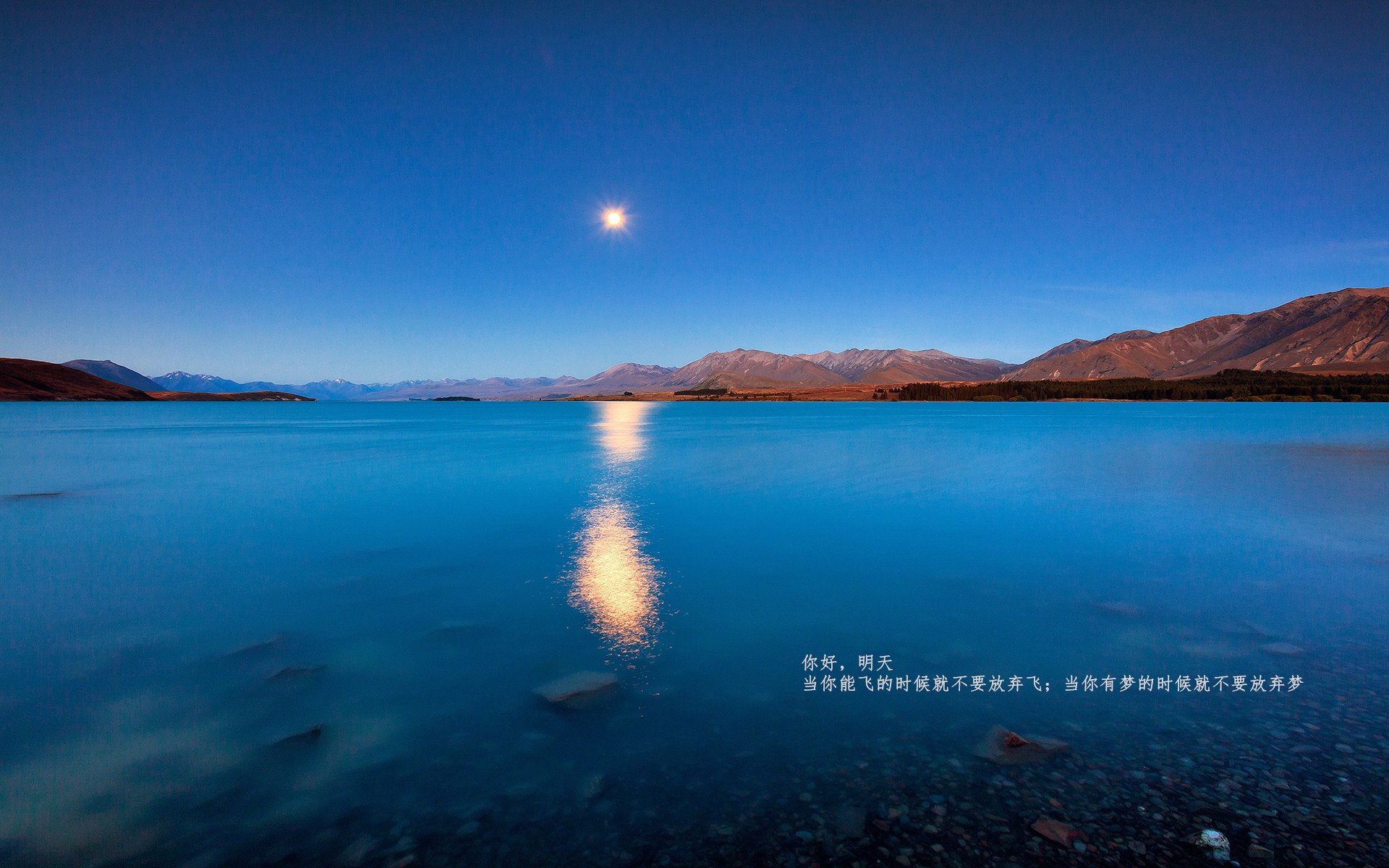 国家队教练团体制推进分工明确提升训练效率,国家队教练什么编制