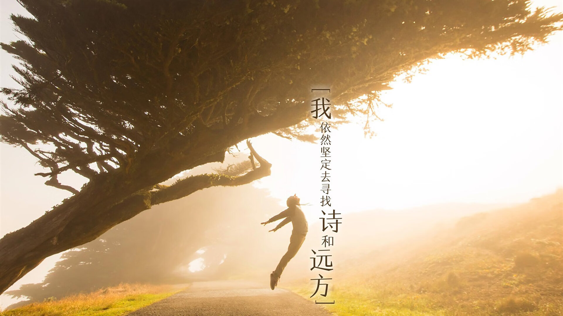 网球技术演示视频引导初学者科学入门,网球训练视频教学视频教程