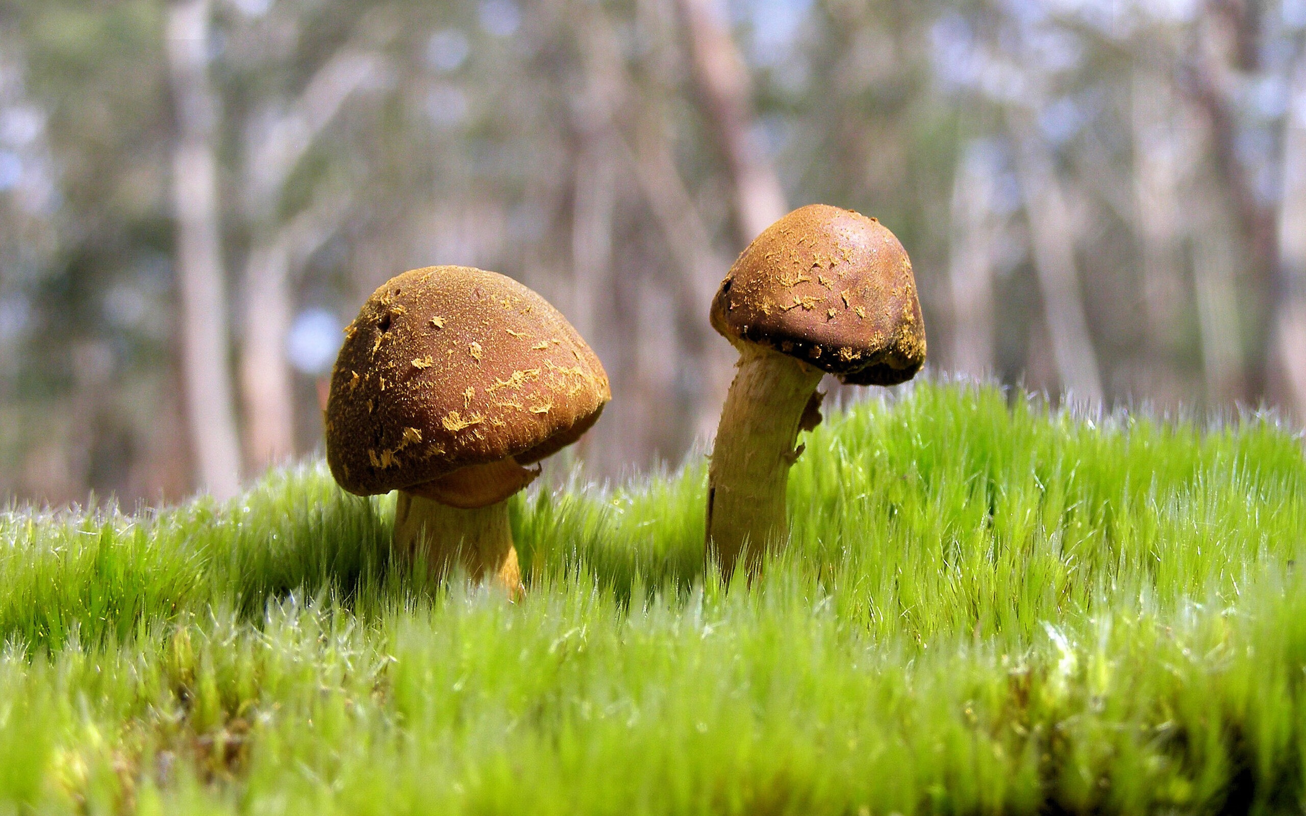 乐鱼体育-中国足球赛场纪律管理，足球比赛纪律要求